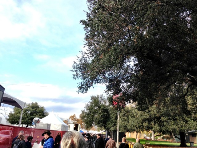 Vyvacious || Walk to Rosemont Pavilion