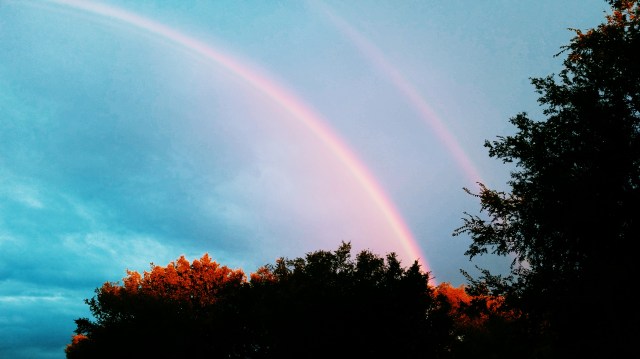 Life will always be rocky but beautiful